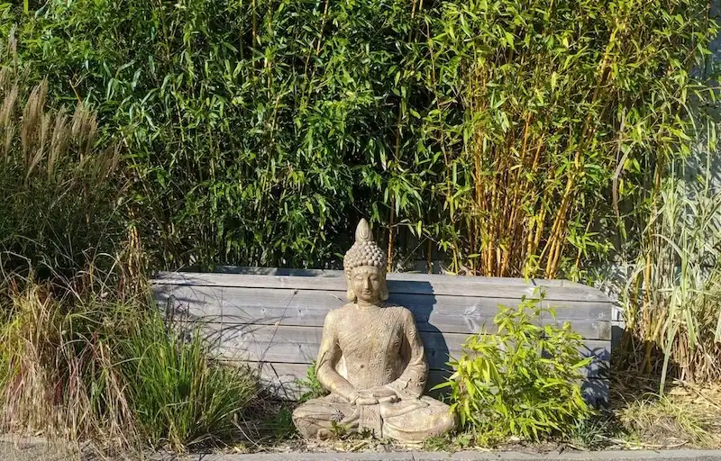 A Ganesh statue, fountain and bamboo at the entrance to Atlantis Gym & Spa in Tiptree, Essex, where Reiki therapy sessions are held